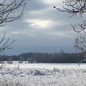 Meet your Posher, Hope